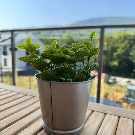 Daire Ostoja - Skalista 7j1 Szczyrk